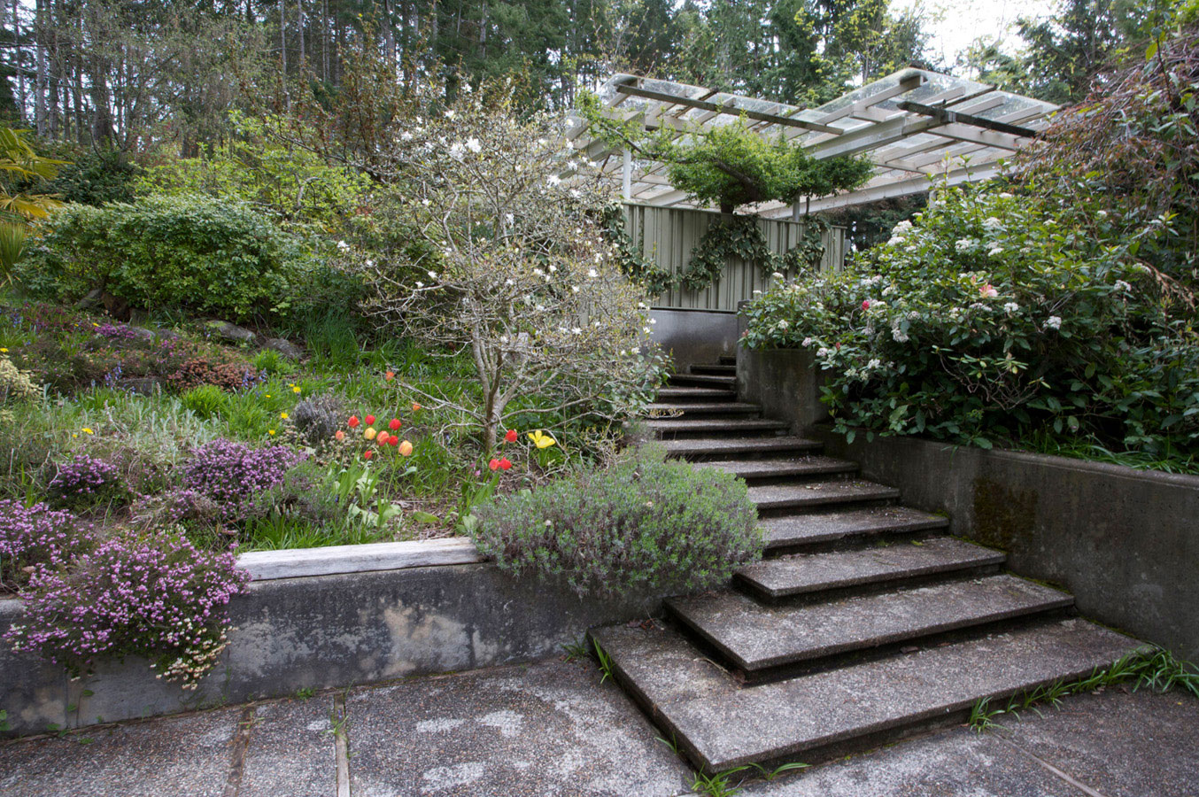 Hank Schubart's Home on Salt Spring Island, BC, Canada